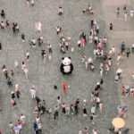 people-gathered-watching-a-panda-mascot-2346289