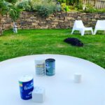 8BAADAD1-3A16-4462-907E-72040B569BC2